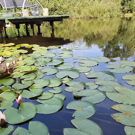Dom Wypoczynkowy Radomno