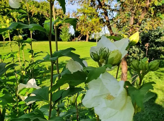 Дом отдыха Dom Wypoczynkowy Radomno *