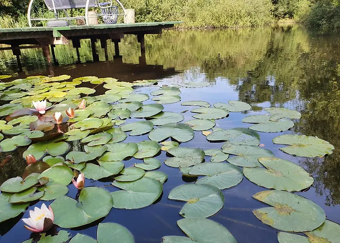 Dom Wypoczynkowy Radomno